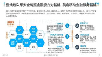 2017年中國移動金融市場專題分析 互聯網信息技術服務驅動的變革與展望